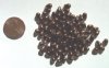 100 4mm Bronze Drops